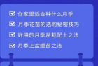 小型致富机器:公众号粉丝如何快速导入微信个人？